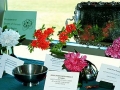 Awards Table