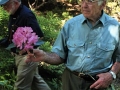 Nicolas Nickou examines rhodo truss