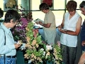 Judges deliberate