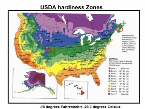 hardiness-map
